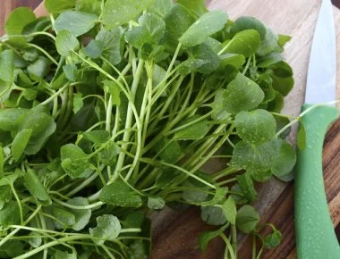 Είναι το πιο υγιεινό λαχανικό στον κόσμο κι όμως…κανείς δεν το τρώει